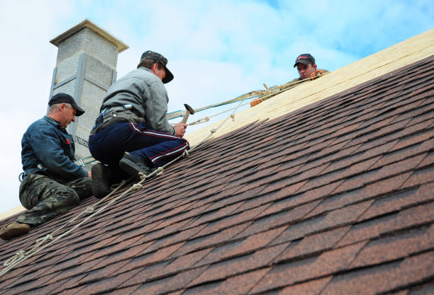 Best Emergency Roof Repair  in Edwardsville, PA